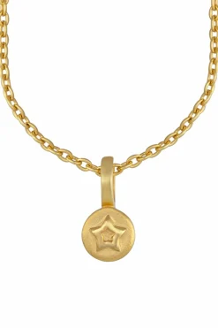 Anhänger mit Kette 925/- Sterling Silber vergoldet Stern 41184530858078