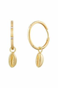 Creole 925 Sterling Silber vergoldet Zirkonia Kauri Muschel Anhänger 41185090928734