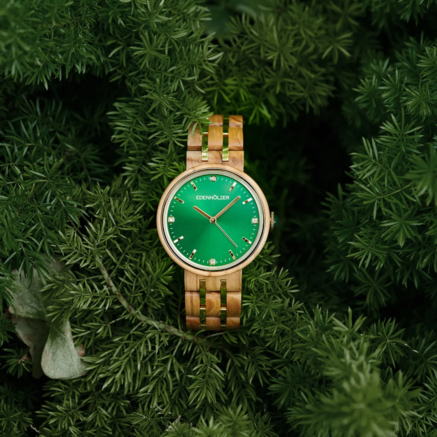 Edenhölzer Damen Armbanduhr Culebra ED140-001