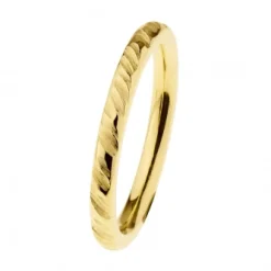 Ernstes Design Damen Ring Evia Größe 55 Gold R534-55