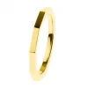 Ernstes Design Damen Ring Evia Größe 54 Gold R585.54