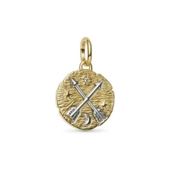 Pandora Medaillon Anhänger Zweifarbig Gekreuzte Pfeile 764081C01