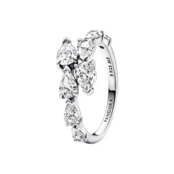Pandora Timeless Damen Ring 193004C01-56