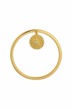 Ring 925 Silber Anhänger Münze vergoldet Sonne Zirkonia 41184880853086