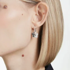 Swarovski Ohrringe Damen Swan Drop Earrings Schwarz Rhodium‑/Ruthenium‑Finish 5705728